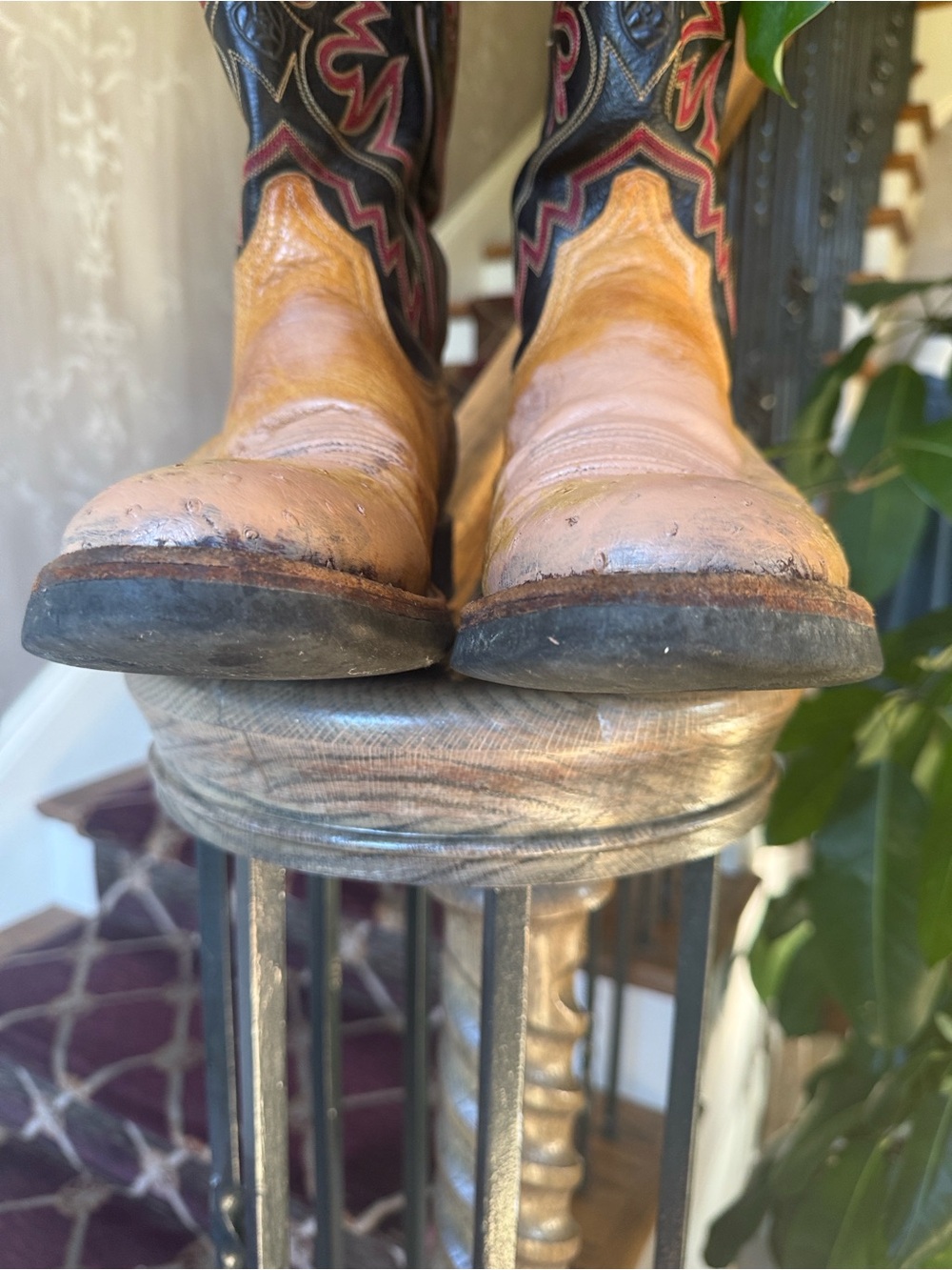 ARIAT smooth ostrich boots size 10. Good condition. - Picture 3 of 9